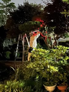 夜間の蜂の巣駆除作業の状況
