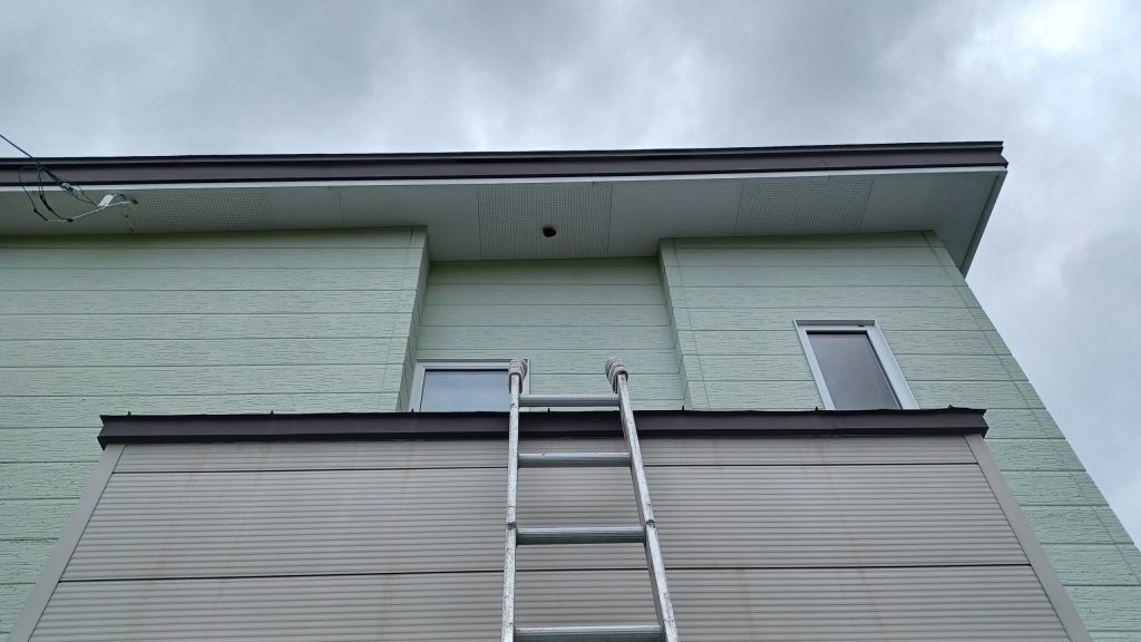 高所にできた蜂の巣